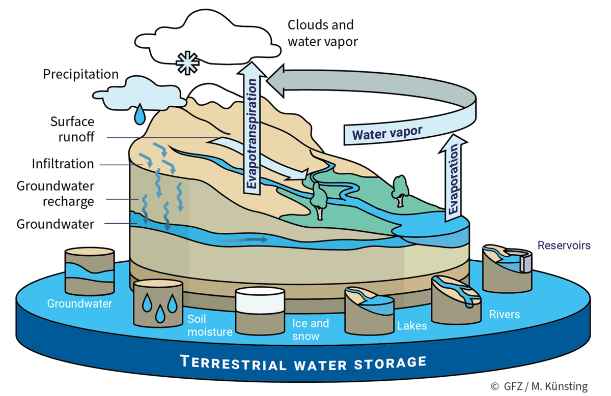 3D Landscape illustrating the water cycle