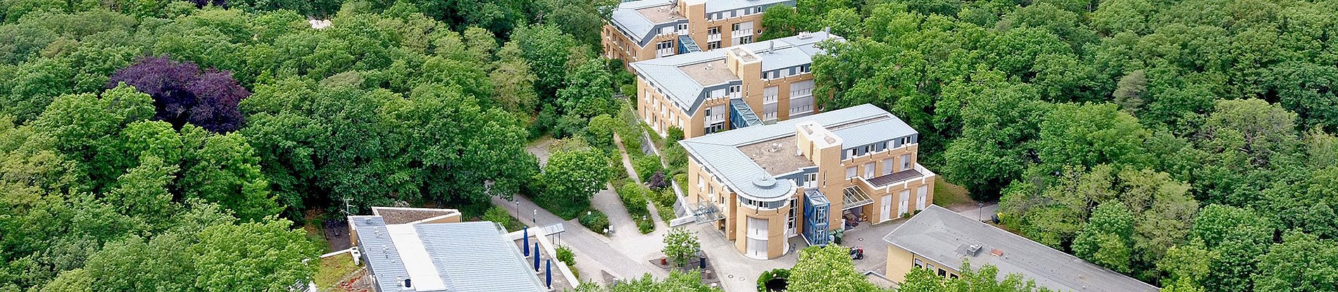 Luftbild: Der Wissenschaftspark Telegrafenberg von oben